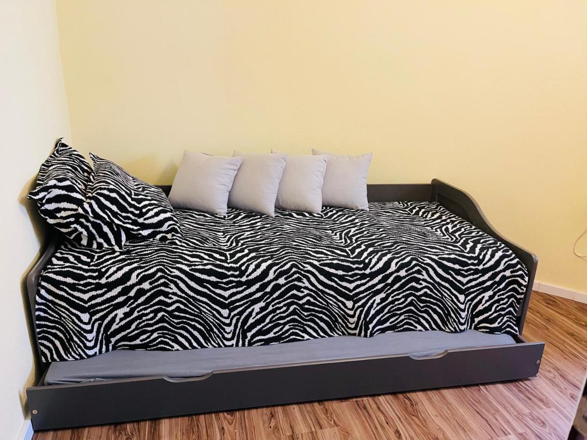 Apartment Eine Charmante Wartet Auf Sie